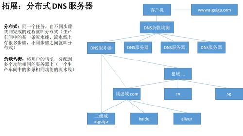 Linux云計算網(wǎng)絡服務基石 DNS域名系統(tǒng)解析與軟件定義部署